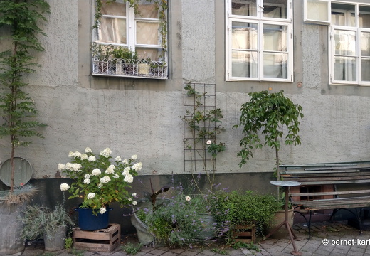 23-07-10-innenstadt-013