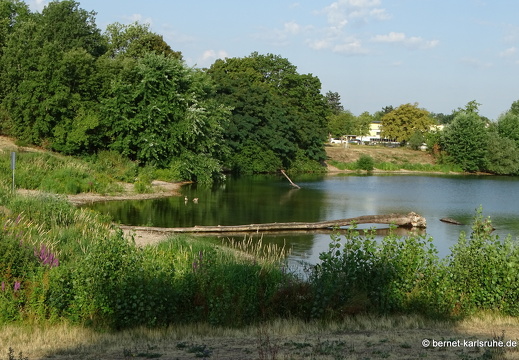23-07-11-gifizsee-027