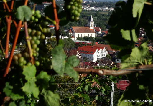 23-08-12-schlossortenberg-038