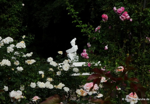 23-08-19-rosengarten-010