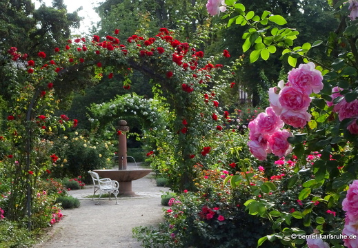 23-08-19-rosengarten-011