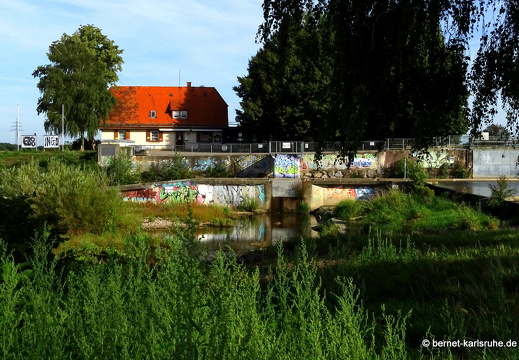 23-09-02-am grossendeich-001