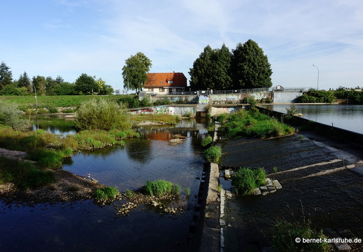 23-09-02-am grossendeich-012