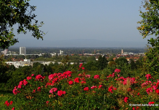 23-10-11-fessenbach-senatorre-aussicht auf og-001