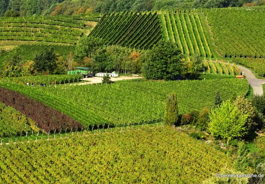 23-10-13-wolfsgrube-024