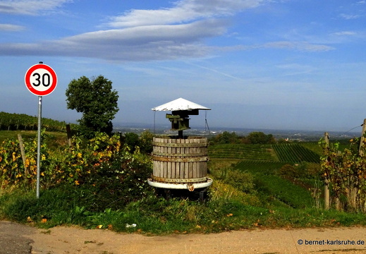 23-10-13-wolfsgrube-044