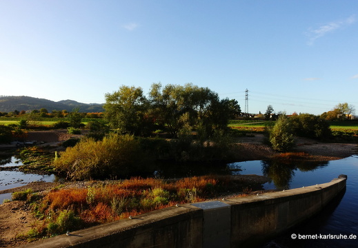 23-10-23-am grossendeich-085