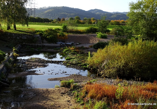 23-10-23-am grossendeich-086