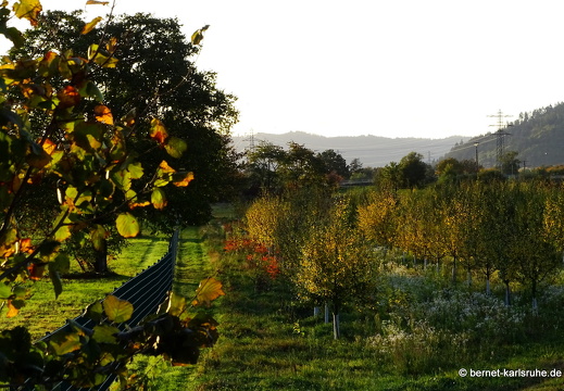 23-10-23-wasserschutzgebiet-001