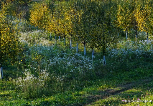 23-10-23-wasserschutzgebiet-006