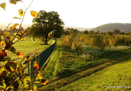 23-10-23-wasserschutzgebiet-007