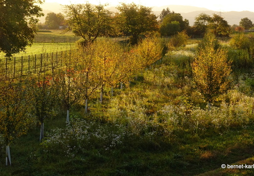 23-10-23-wasserschutzgebiet-009