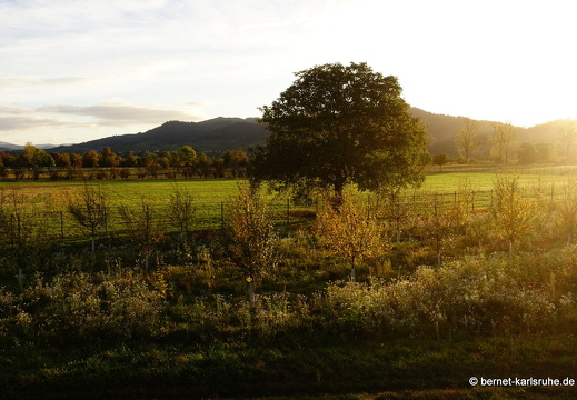 23-10-23-wasserschutzgebiet-014