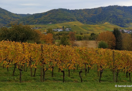 23-10-29-lindenhoehe-002