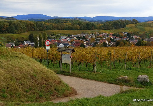 23-10-29-lindenhoehe-004