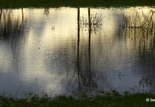 23-12-15-am grossendeich-hochwasser-013