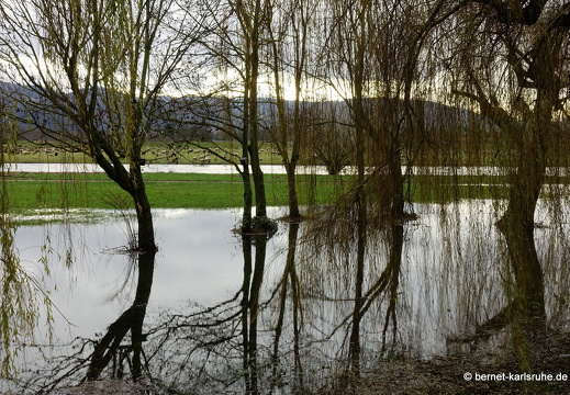 23-12-15-am grossendeich-hochwasser-024