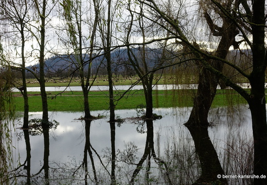23-12-15-am grossendeich-hochwasser-028