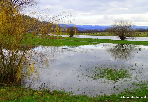 23-12-15-am grossendeich-hochwasser-040