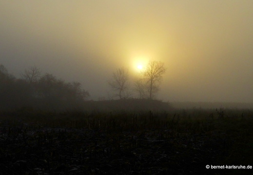 23-12-17-am grossendeich-nebel-006