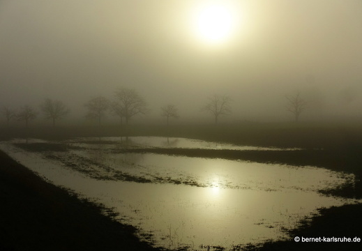 23-12-17-am grossendeich-nebel-012