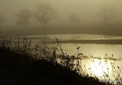 23-12-17-am grossendeich-nebel-015