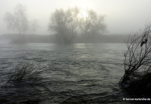 23-12-17-am grossendeich-nebel-030