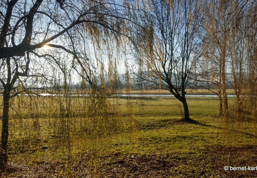 23-12-18-am grossendeich-001