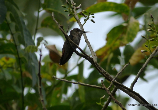 20-02-16-black rock-276