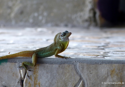 20-02-16-black rock-274