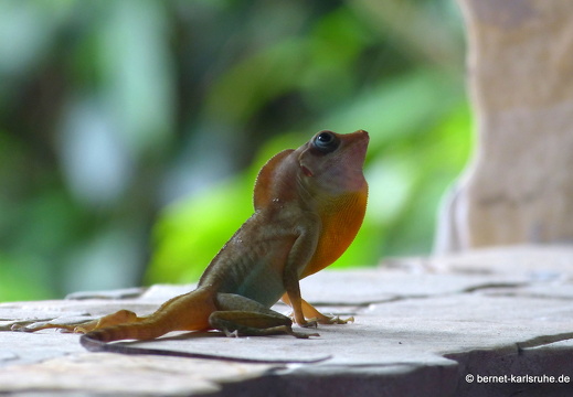 20-02-16-black rock-251