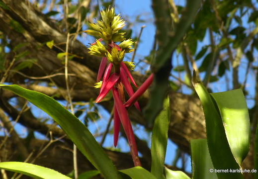 20-02-16-black rock-107