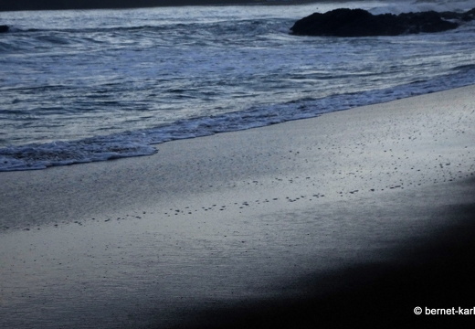 20-02-16-black rock-063