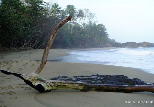 20-02-16-black rock-053