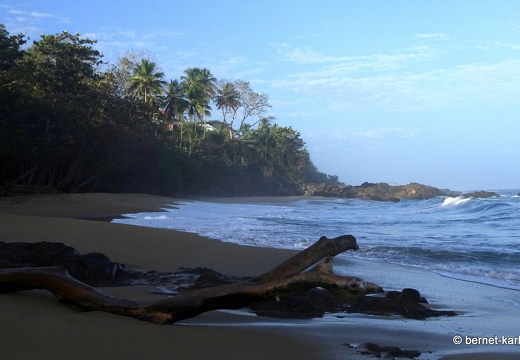 20-02-16-black rock-047