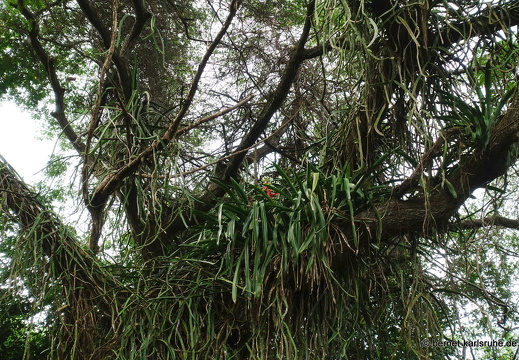 20-02-15-black rock-092