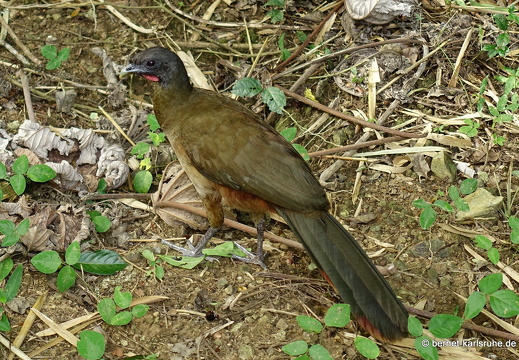 20-02-15-black rock-067