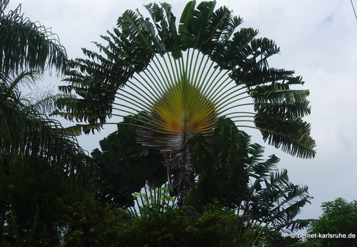 20-02-11-black rock-181