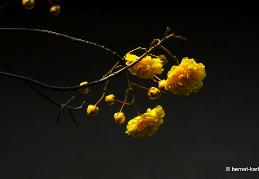 20-02-11-black rock-stonehaven bay-090