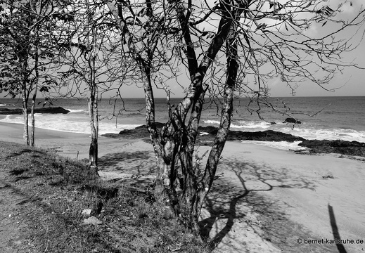 20-02-11-black rock-stonehaven bay-082