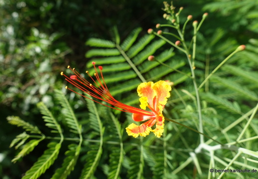 20-02-11-black rock-stonehaven bay-061