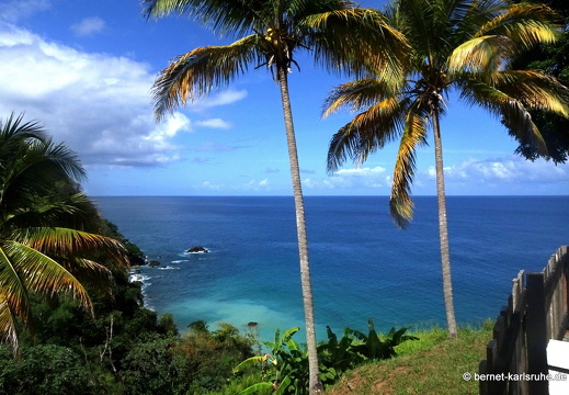 20-02-27-castara-012