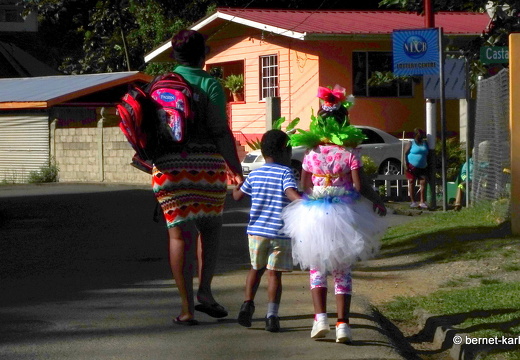 20-02-21-castara-.2020 08-44-14