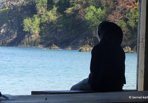 20-02-21-castara-.2020 08-33-19