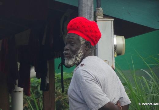 20-02-19-castara-013