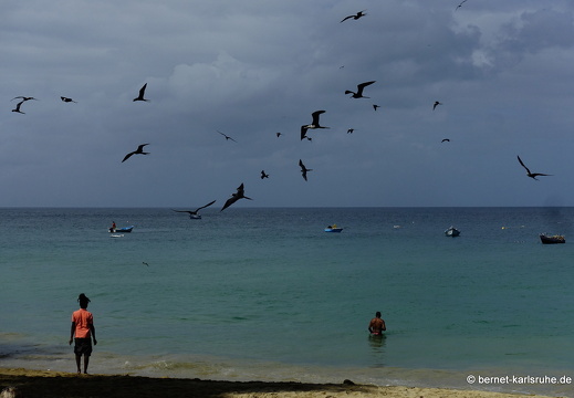 20-02-18-castara-strandfischer-002