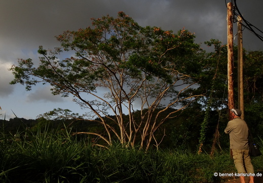 20-03-05-charlotteville-087