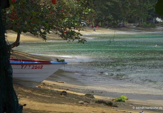 20-03-04-charlotteville-096