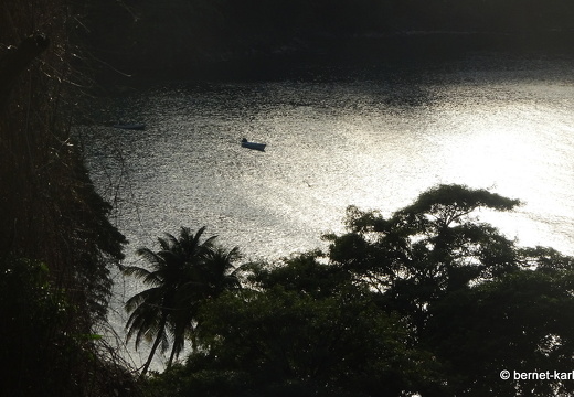 20-03-02-charlotteville-063