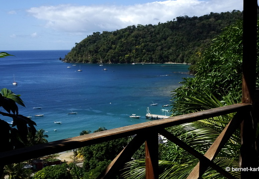 20-03-02-charlotteville-bellavista-179